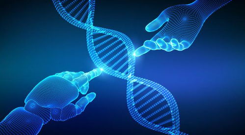 禾元生物IPO之路 業(yè)績連年虧損，技術(shù)開發(fā)與產(chǎn)品商業(yè)化雙重挑戰(zhàn)