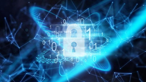 97個數(shù)字職業(yè)面世 網(wǎng)絡(luò)技術(shù)開發(fā)就業(yè)市場的新機遇與挑戰(zhàn)